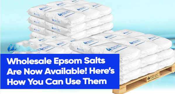 Ein Kunde aus Japan Wholesales -Epsom -Salzen