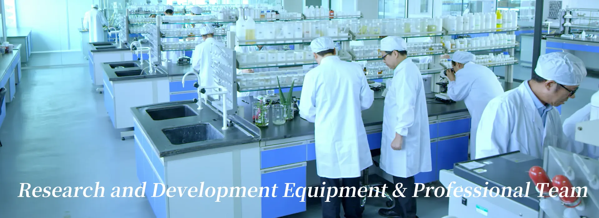 R&D Capabilities